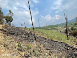 Huyện Krông Bông: Phát hiện, xử lý 65 vụ vi phạm lâm luật trong quý I năm 2025