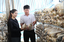 Huyện Krông Ana có 14 sản phẩm đạt chuẩn OCOP