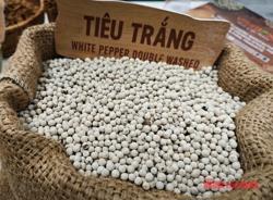 Giá tiêu hôm nay 19-4: Đi lùi, thị phần tại Mỹ giảm