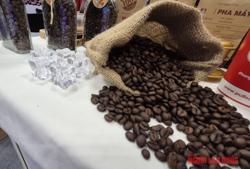 Giá cà phê hôm nay 2-4: Giảm sâu rồi tăng dữ dội