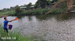 Hiệu quả từ chuyển đổi cây trồng, vật nuôi ở Xuân Phú