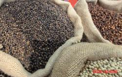 Giá tiêu hôm nay 21-4: Ẩn số thị trường Trung Quốc