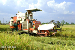 Phát huy trụ cột nông nghiệp: Động lực cho tăng trưởng kinh tế Đắk Lắk