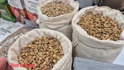 Giá cà phê hôm nay 23-4: Sụp sâu rồi phục hồi mạnh mẽ