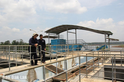 Nước cấp phập phù, giá tăng… ổn định