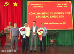 Huyện Krông Búk: Hướng đến phát triển bền vững ngành hàng sầu riêng