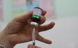 Triển khai tiêm miễn phí vắc-xin phế cầu