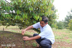 Tưới tiết kiệm - giải pháp thúc đẩy canh tác bền vững