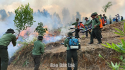 Phải coi phòng cháy, chữa cháy rừng là nhiệm vụ trọng tâm, xuyên suốt