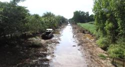 Hạn hán nhiều khả năng kết thúc vào trung tuần tháng 5