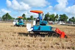 Gạo Việt xanh phát thải thấp