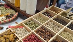 Giá tiêu hôm nay bật tăng, nông dân vui trở lại