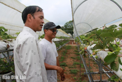 Hiệu quả từ mô hình kinh tế nông nghiệp gắn với du lịch