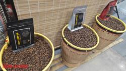 Giá cà phê hôm nay 26-4: Lịch sử có lặp lại?