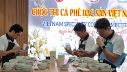 Có 139 mẫu cà phê đạt tiêu chuẩn cà phê đặc sản Việt Nam 2025