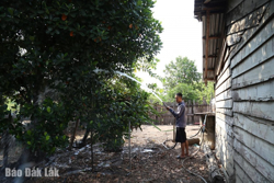 Tuần lễ quốc gia nước sạch và vệ sinh môi trường năm 2025 có chủ đề “Nước sạch vì một nông thôn xanh, bền vững”.