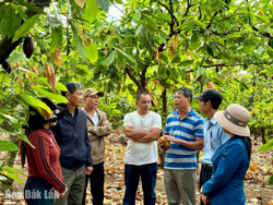 Huyện Krông Ana: Quan tâm phát triển kinh tế tập thể
