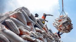 Gạo xuất khẩu: Chủ động khai thác thị trường tiềm năng