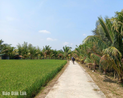 Gặp Đắk Lắk trong dáng vóc đồng bằng