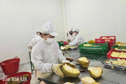 Tổng kim ngạch xuất khẩu quý I năm 2025 giảm 2,7% so với cùng kỳ