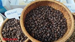 Giá cà phê hôm nay 4-4: Áp lực tâm lý