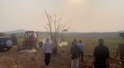 Huyện Ea Súp, Đắk Lắk: Thu hồi 742 ha đất lâm nghiệp bị lấn chiếm trái phép