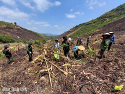 “Nóng” tình trạng xâm lấn rừng: Cần hành động khẩn cấp