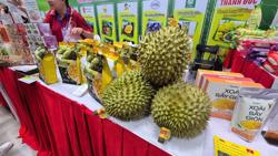 Sầu riêng xuất khẩu còn ít hơn chuối