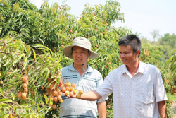 Huyện Ea Kar: Tạo sức bật trong tái cơ cấu ngành nông nghiệp