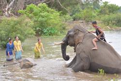 Đón Tết Bunpimay, xem trình diễn pháo hoa nghệ thuật