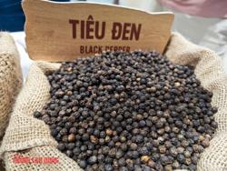 Giá tiêu hôm nay 9-4: Giảm mạnh, doanh nghiệp lo mất thanh khoản