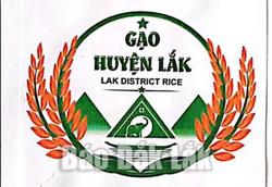 Cấp giấy chứng nhận đăng ký nhãn hiệu gạo huyện Lắk