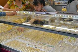 Giá vàng hôm nay, 14-5: Bứt phá mạnh mẽ