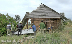 Thu hồi đất lâm nghiệp bị lấn chiếm: Thực hiện đồng bộ các giải pháp