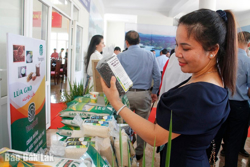 Quả ngọt trên hành trình xây dựng thương hiệu gạo huyện Lắk