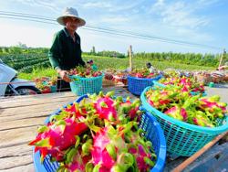 Gỡ điểm nghẽn xuất khẩu nông sản