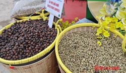Giá cà phê hôm nay 17-5: Giảm mạnh tới 3 con số