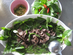 Bất ngờ bò lá giang