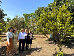 Toàn tỉnh có 15 Câu lạc bộ Nông dân sản xuất, kinh doanh giỏi