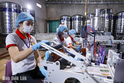 Khơi nội lực cho kinh tế tư nhân phát triển