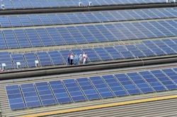 Tạo nguồn cung cho thị trường tín chỉ carbon