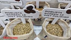 Giá cà phê hôm nay 22-5: Vua xuất khẩu cà phê bị "soán ngôi"