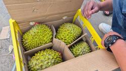 Sầu riêng vừa đón tin vui từ Trung Quốc