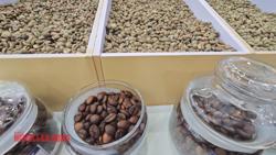 Giá cà phê hôm nay 23-5: Bốc hơi mạnh 3 con số