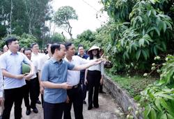 Phát triển vùng nguyên liệu: Nền tảng cho nông nghiệp hiện đại và bền vững