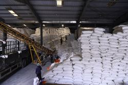 Chuyển đổi xanh ngành lúa gạo