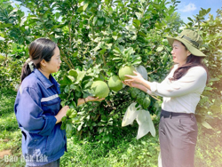 Khởi nghiệp - Thách thức và cơ hội