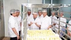 Sầu riêng Việt Nam cần giữ vững chất lượng, chinh phục thị trường cao cấp