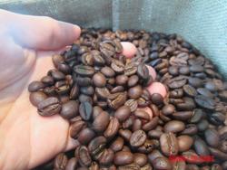 Giá cà phê hôm nay 27-5: Thị trường đóng băng