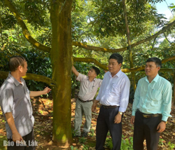 Huyện Krông Pắc: Thành tựu phát triển từ 3 khâu đột phá